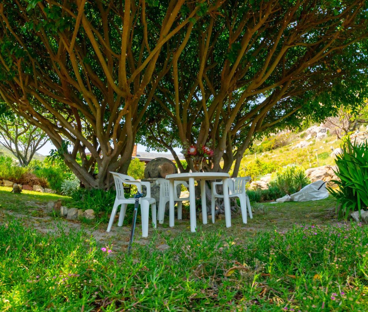 Makapa Lodge Cidade Do Cabo Exterior foto